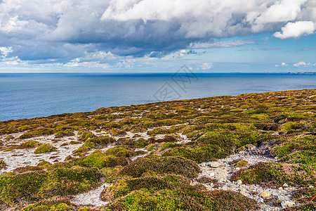 隐藏在的海滩荒野场地支撑海洋海岸天空热带风景紫色蓝色图片