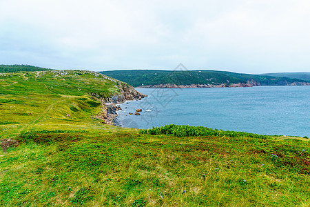 白点 布雷顿角悬崖戏剧性路线海浪海岸线风景沿海踪迹崎岖海岸图片