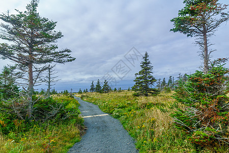 布雷顿角高地国家公园的天线路迹风景人行道悬崖高地沿海旅行海岸天际国家海洋图片