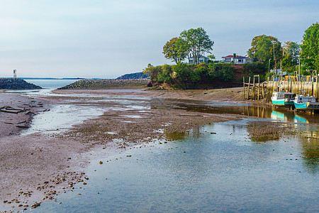 在圣马丁斯 低潮的港口海岸线注意旅行旅游木头村庄海洋海岸地标钓鱼图片