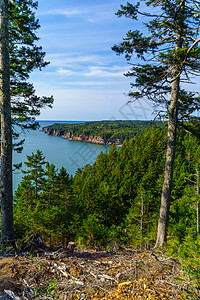 Fundy Trail公园的沿海景观海岸海洋公园事项踪迹悬崖海岸线旅游森林支撑图片
