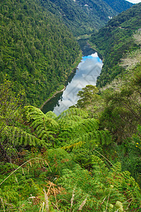 万加努伊河荒野旅行公园国家森林游客假期旅游绿色树木图片