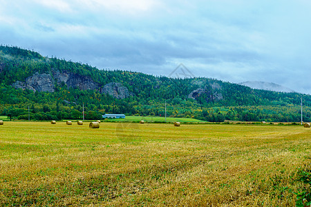 魁北克圣安德烈的乡村地带风景地标爬坡旅行农场农村草垛场地质量控制地区图片