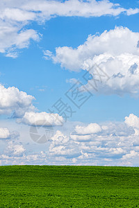 美丽的绿绿地 有白云蓝色场地地平线草原环境农村场景草地生长农场图片