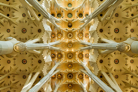 西班牙巴塞罗那著名的教堂室内详情 05年6月5日大教堂教会地标建筑历史摩天大楼家族经济天花板柱子图片