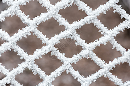寒冷冬日冻结的栅栏风景水晶天气场景白色季节雾凇气候图片