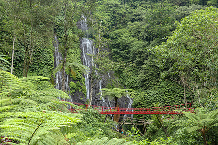 红桥在河上 靠近山上的瀑布 t旅游荒野森林异国旅行石头情调热带双胞胎丛林图片