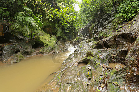 F 山河磨擦的岩石江床美丽的纹理岩石河床丛林风景荒野树木溪流森林环境瀑布图片