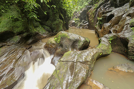 F 山河磨擦的岩石江床美丽的纹理旅游风景溪流树木环境丛林峡谷岩石水流森林图片