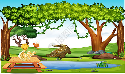 动物在森林和饮水中玩耍蓝色注意力卡通片环境植物插图小狗花园荒野公园图片