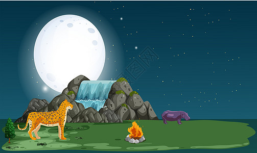 在森林里猎虎的动物月亮老虎环境野生动物哺乳动物橙子野猫危险风景蓝色图片