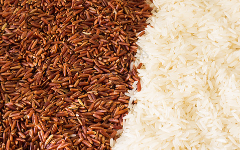 糙米和白米饭图片