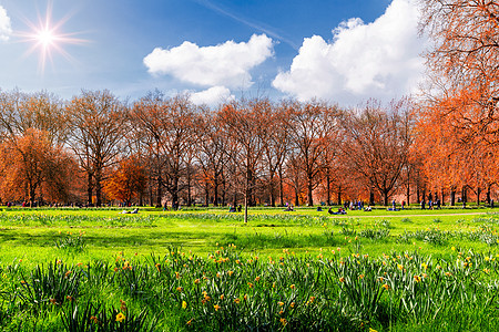 伦敦的绿色公园 在温暖的春天节日 人们坐在森林乐趣旅行喜悦场地快乐假期晴天季节闲暇图片