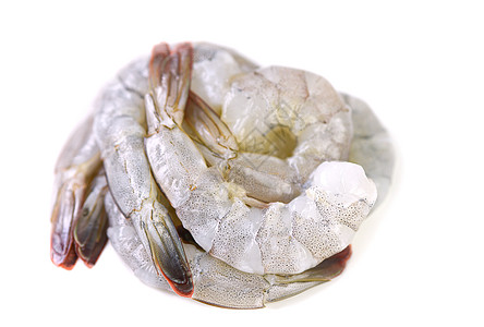 白种背景与世隔绝的新鲜生虾虾图片