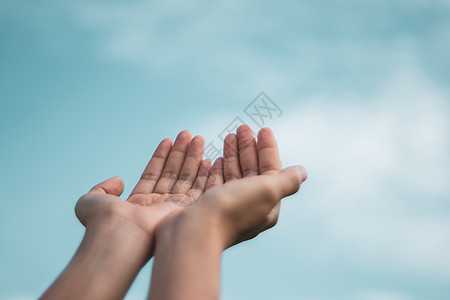 女人手放在一起 就像在大自然的绿色背景面前祷告一样生长太阳生活女士手指女性日落冥想精神佛教徒图片