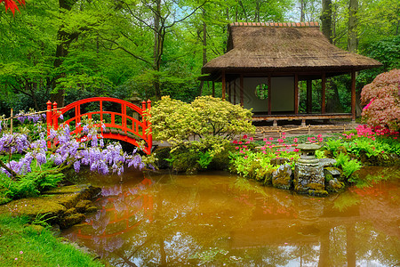 日式花园 荷兰海牙Clingendael公园禅意庭园游客旅行活力风景公园观光景点旅游图片