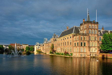 Hofvijver湖和Binnenhof 海牙旅行经济博物馆建筑学荷卢天鹅城市市中心议会天空图片