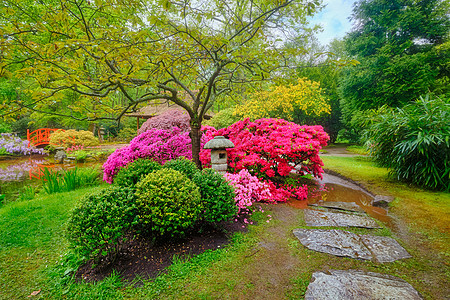 日式花园 荷兰海牙Clingendael公园风景建筑学灯笼植物观光地标花坛游客胜地庭园图片