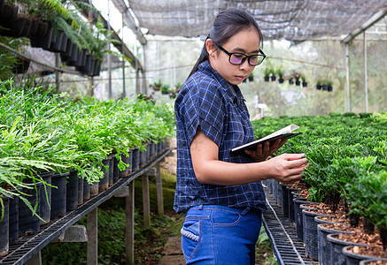 一名在温室工作 带笔记本的亚洲农民妇女的肖像检查了农场上越来越多的幼苗和温室中的疾病肥料生长食物园艺植物香菜蔬菜叶子花园农业图片