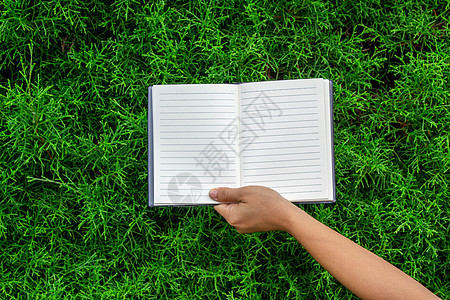 女人的手拿着空白笔记本 在夏季绿色公园的背景之下 (笑声)图片
