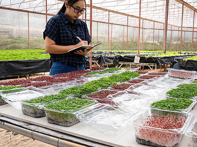 亚洲女性园丁在温室工作 笔记本核对环境农场昆虫商业检查店铺肥料建筑学工人幼苗图片