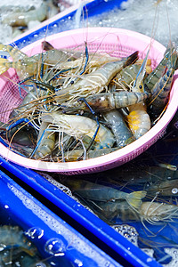 海产食品市场上的新鲜虾烹饪摄影销售贝类甲壳渔业生食黑色饮食餐厅图片