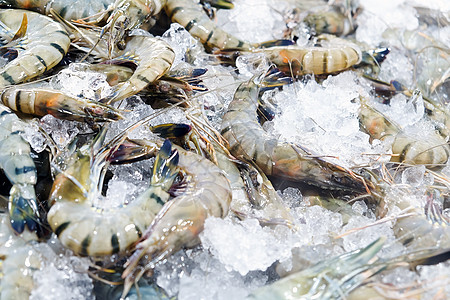 海产食品市场上的新鲜虾生食海鲜美食渔业烹饪黑色贝类甲壳食物黑虎图片
