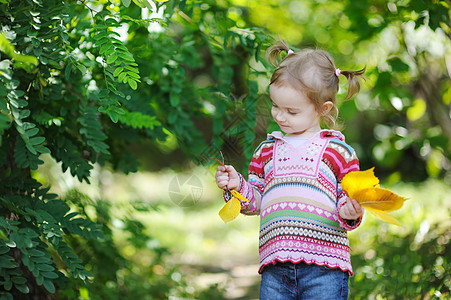 秋天公园中可爱的小孩女孩孩子太阳眼睛童年公园夹克发型婴儿女儿图片