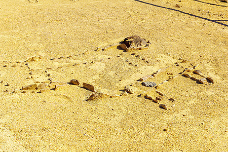 乌夫达豹寺沙漠青铜历史旅行地标文化豹子发掘考古学建筑学图片