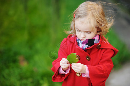 秋天穿亮红大衣的小女孩童年牛仔裤季节孩子树叶女孩婴儿叶子公园眼睛图片