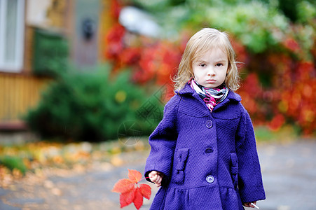 秋天穿亮蓝色大衣的小女孩外套树叶女儿叶子压痛裙子紫色季节雨滴胡同图片