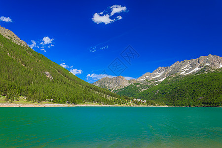 沿着山坡沿着松树覆盖的青绿山湖浅蓝色旅行绿色公园天空白色国家植被暗示性天堂图片