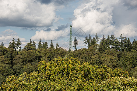 西格兰州金斯堡周围的景观蓝色草地森林分支机构山峰树叶树木村庄山脉白色图片