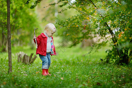 秋天在森林里远足的可爱女孩苔藓女儿场地草地树木孩子木头儿童国家婴儿图片