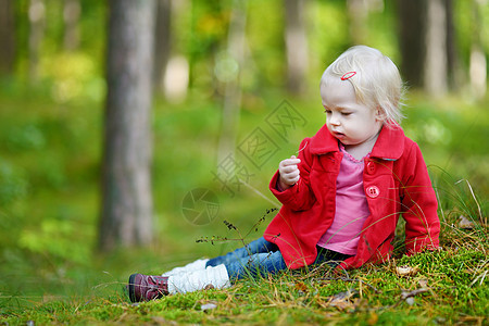 秋天在森林里远足的可爱女孩场地采摘花朵红色木头女儿婴儿树林草地树木图片