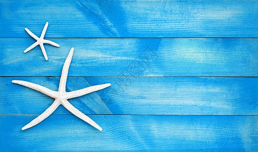 两只蓝木木底海星 顶部视图装饰星星风格热带蓝色异国环境水族馆珊瑚旅行图片