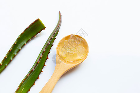 白色的 Aloe vera温泉药店药品皮肤科叶子滋润床单卫生宏观芦荟图片