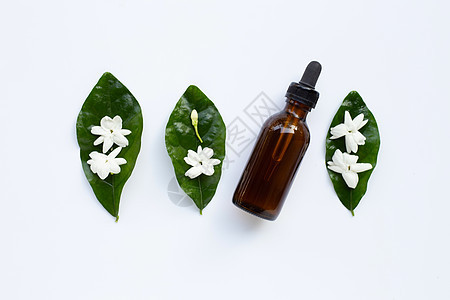装有茉莉花和白叶的一瓶基本油叶子情调治疗药品花瓶植物玻璃生态栀子花香味图片