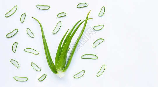 Aloe vera 是一个热门的药用植物 为了健康和美丽 wh润肤药品草本植物温泉芦荟生长滋润叶子床单卫生图片