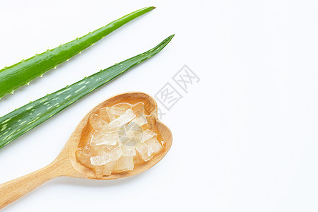 Aloe vera 是一个热门的药用植物蔬菜生长化妆品植物学药店治疗芦荟润肤皮肤科保健图片