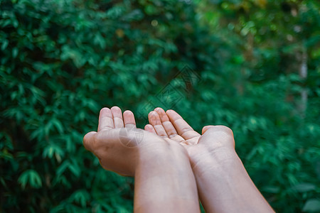 女人手放在一起 就像在大自然的绿色背景面前祷告一样生长冥想女士太阳日落佛教徒海滩上帝精神天空图片