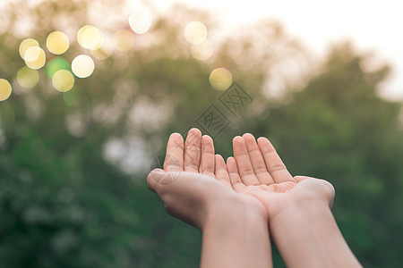 女人手放在一起 就像在大自然的绿色背景面前祷告一样宗教天空海滩太阳精神佛教徒日落女性女士手指图片