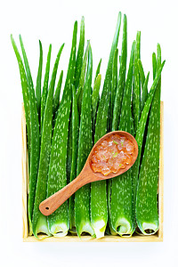 Aloe vera是健康美的药用植物治疗宏观卫生保健床单温泉草本植物化妆品皮肤科滋润图片