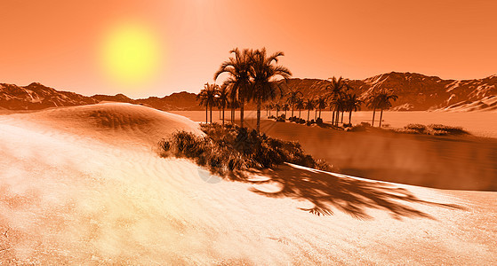 绿洲计算机地点气候旅行插图数字热浪图像形状热带图片