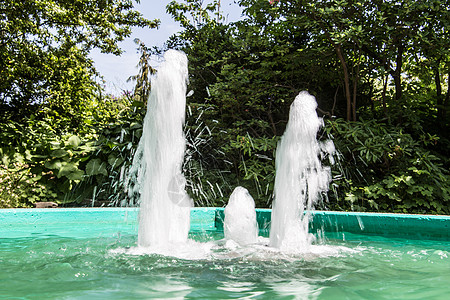 绿池喷泉灌木丛绿色明镜树叶花园盆地树木植物灌木蓝色图片