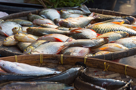 市场上的淡水淡水鱼市场美食食物农场营养零售团体烹饪海鲜钓鱼热带图片