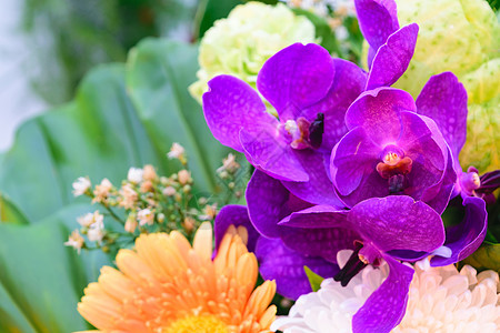 美丽的紫色兰花在花束中绽放图片