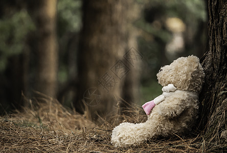 泰迪熊坐在地板上 坐在树边 情感和表达概念 笑声松林植物花园衰变孩子礼物童年地面娃娃天气图片