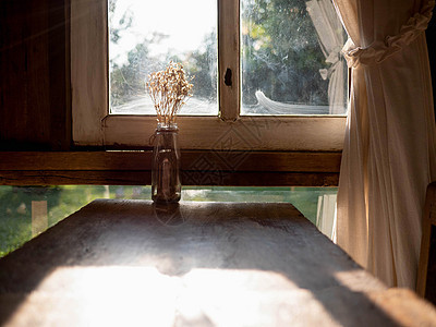 窗边的木桌上的干花瓶 晚上有阳光在房里 秋天的概念花园木头房间房子玻璃植物桌子窗户森林季节图片