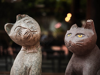把咖啡厅里雕刻的老木头猫 紧贴起来旅行艺术咖啡店小猫白色雕塑宠物手工雕像眼睛图片